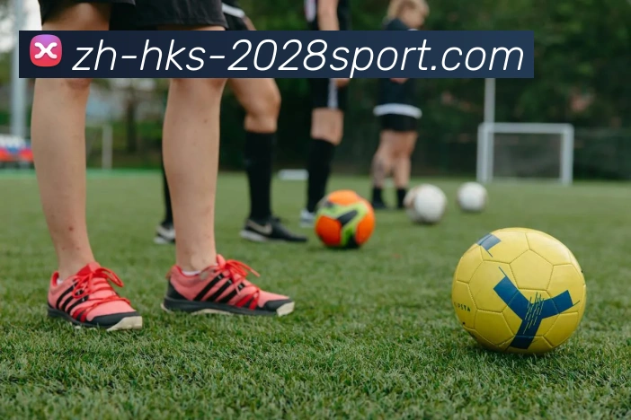 2028体育官网APP 封面图